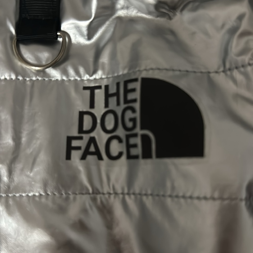 The Dog Face Jacket - Picture 5 of 5